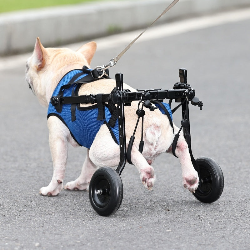 Disabled Dog Wheelchair