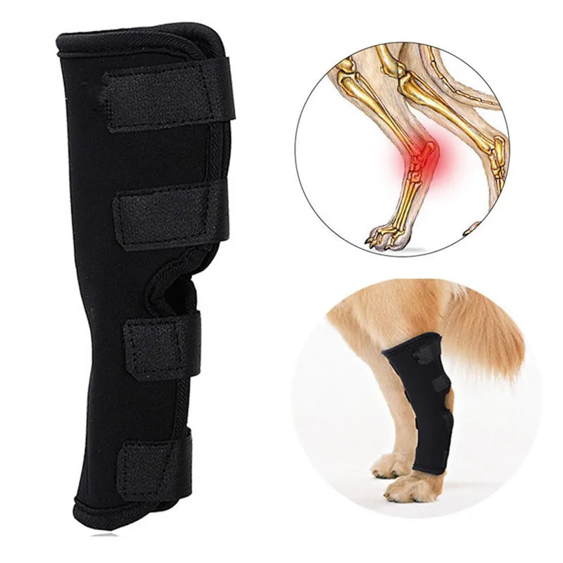 Dog Knee Brace Protector