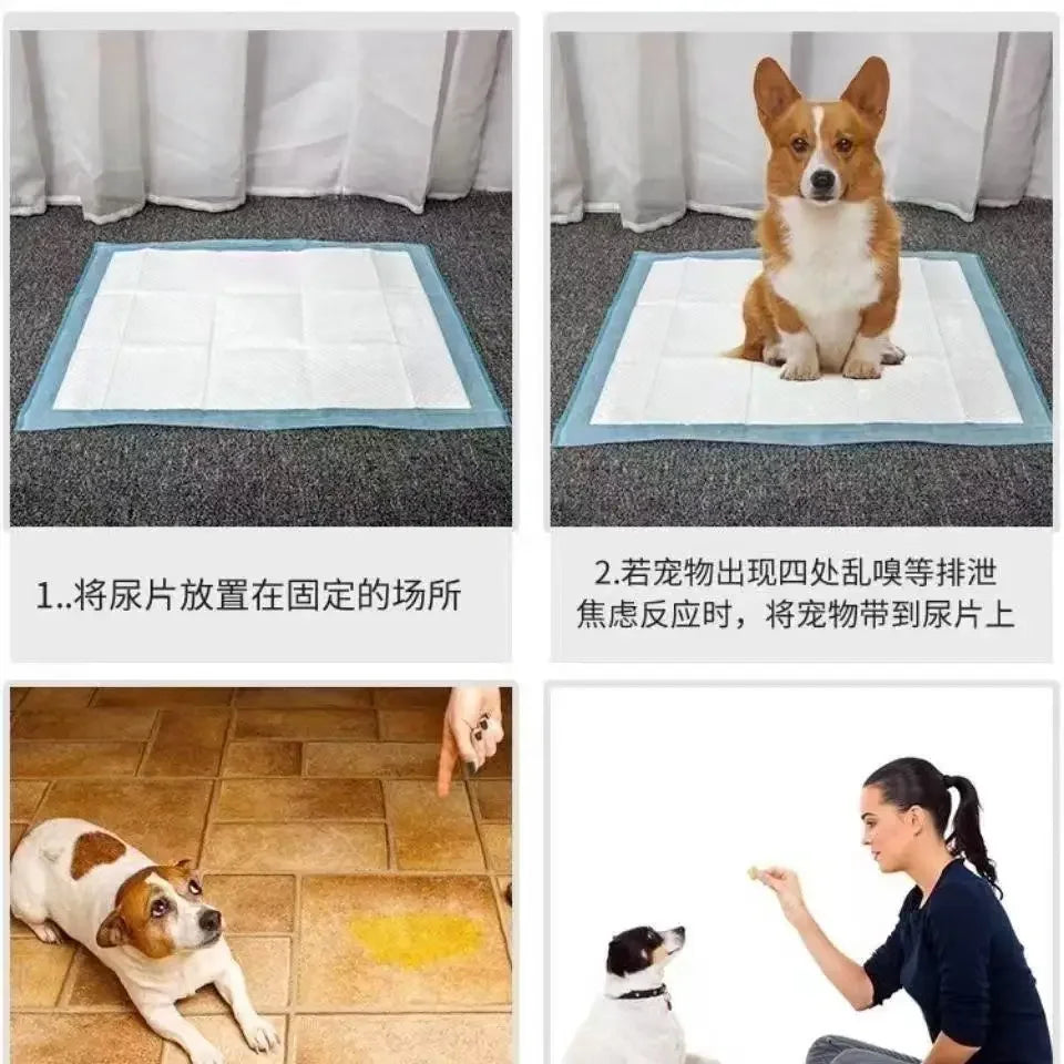 Absorbent Dog Pee Pads