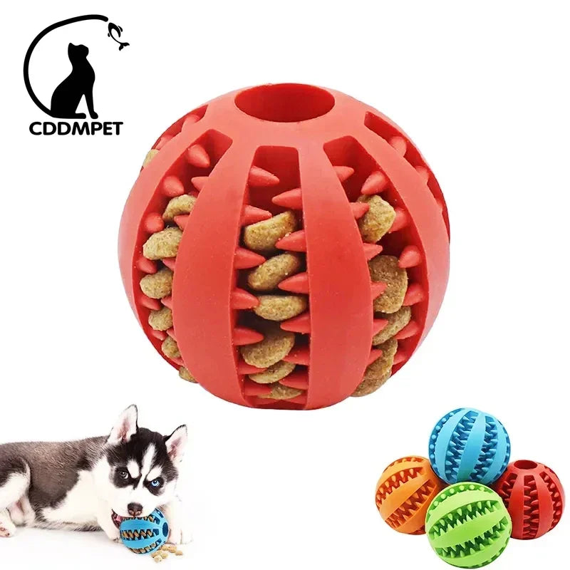 Dog Ball Chew Toy