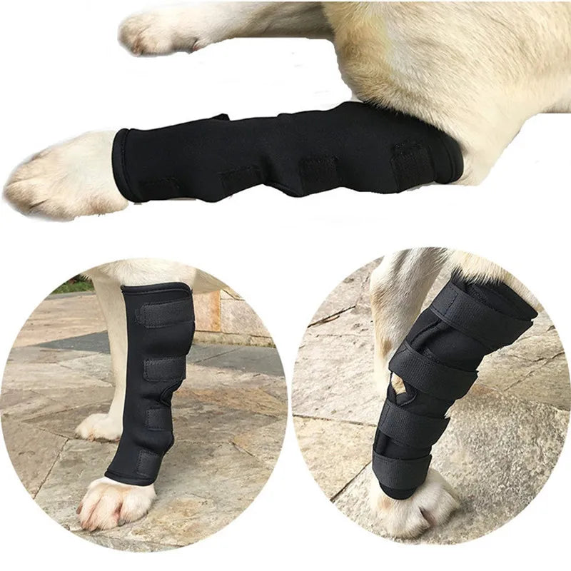 Dog Knee Brace Protector