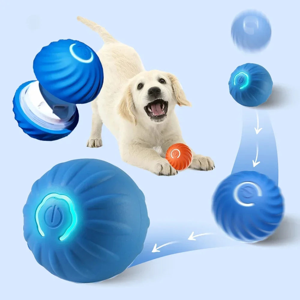 Interactive Pet Toy . Smarts Puppy Activity Ball