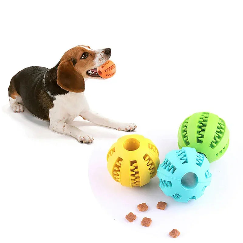 Dog Ball Chew Toy