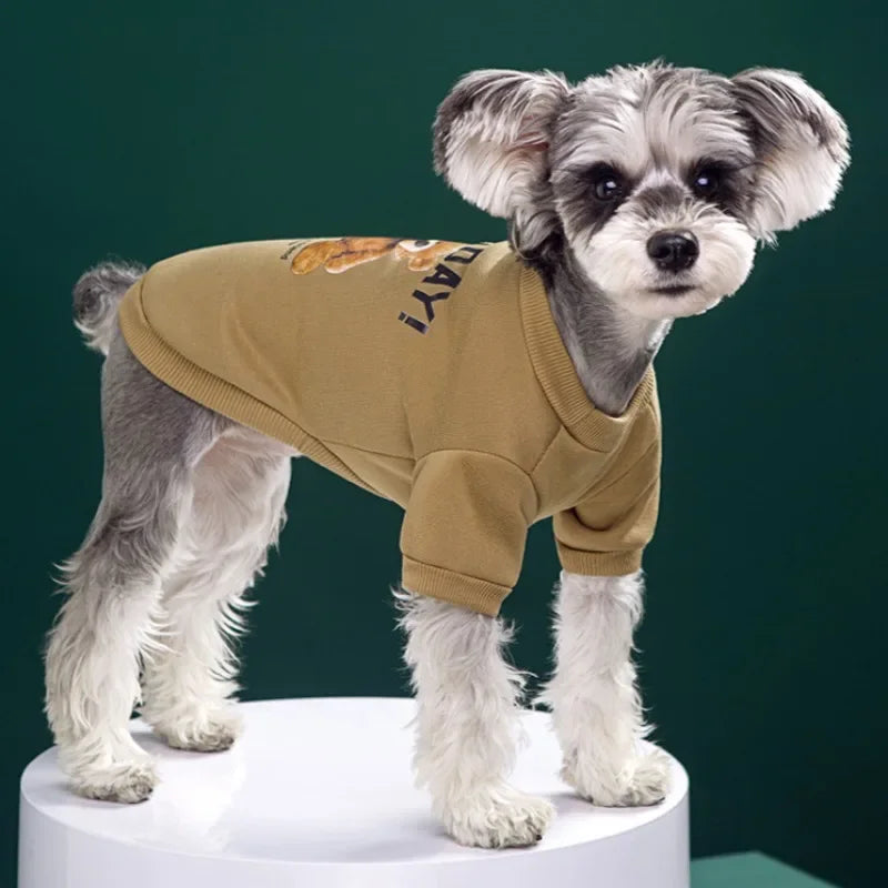 Dogs Winter Cute Clothes
