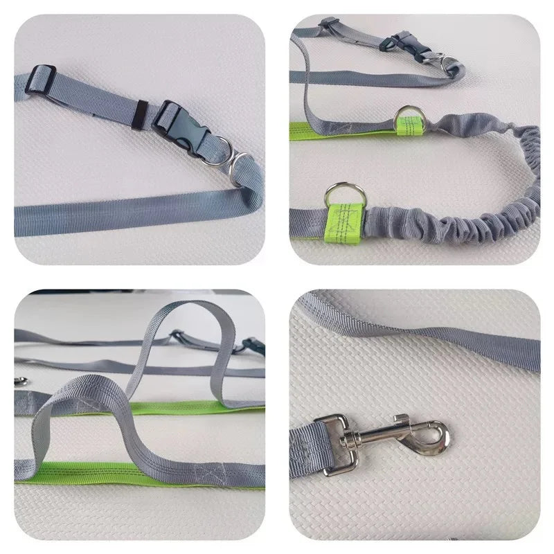 Outdoor Running Dog Leash