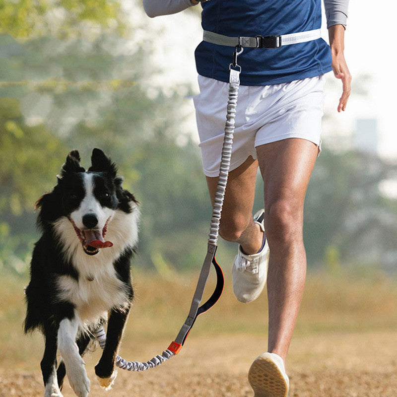 Outdoor Running Dog Leash