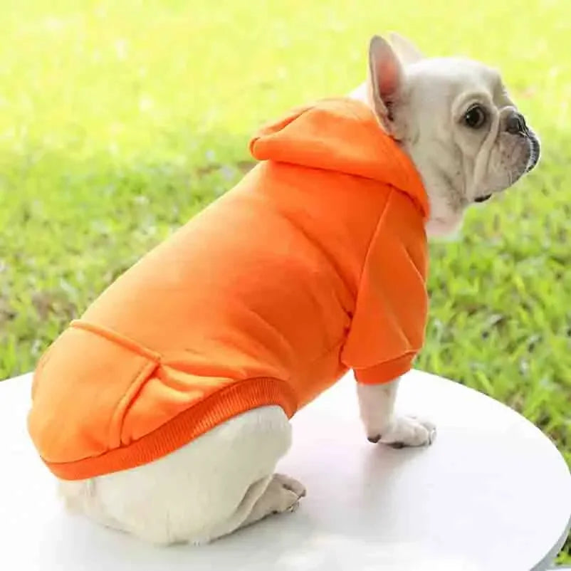 Dog Winter Sweatshirt