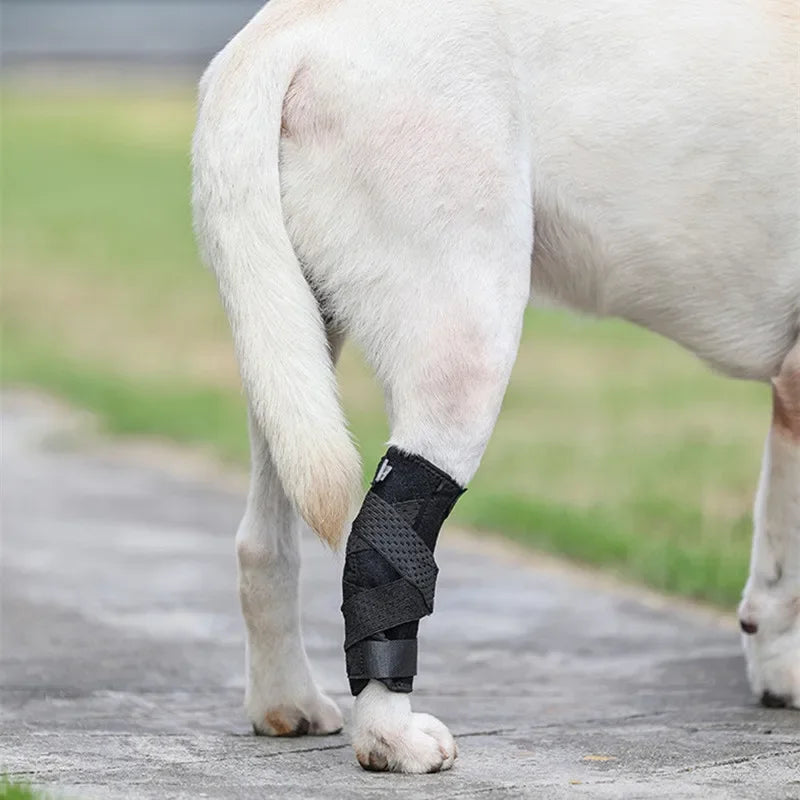Dog Arthritis Bandage Support
