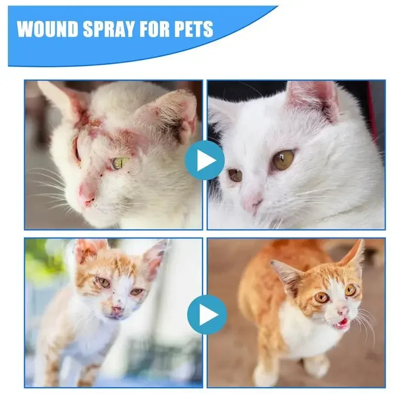 Anti-Itch Spray for Pets