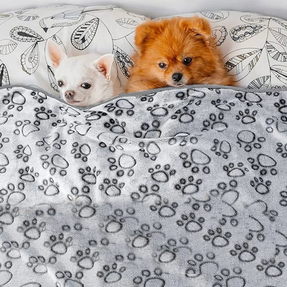 Washable Soft Pet Blanket