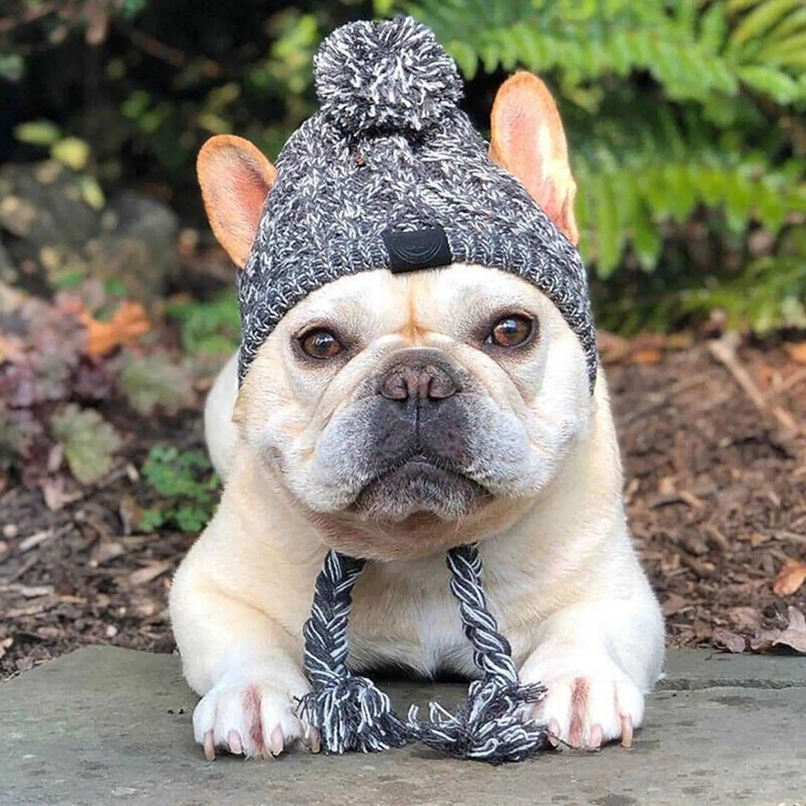 Winter Warm Dog Hats