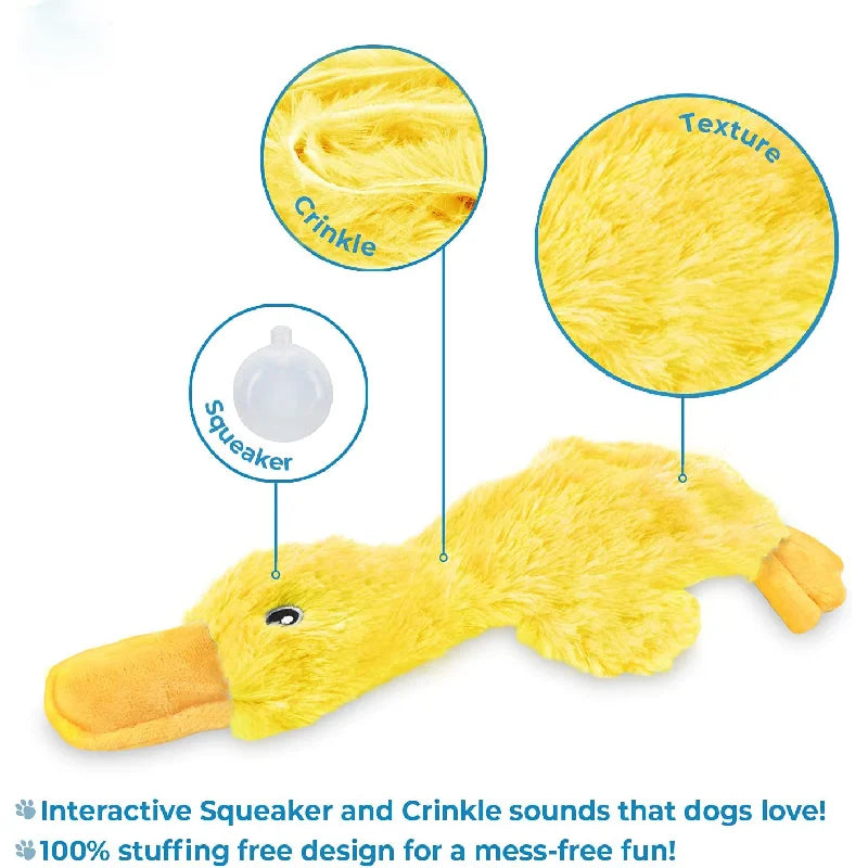 Duck Dog Toy