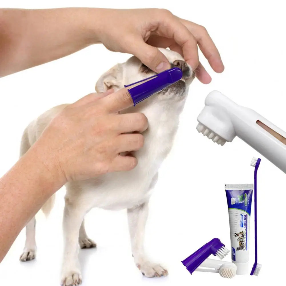 Pet Toothbrush & Toothpaste Kit