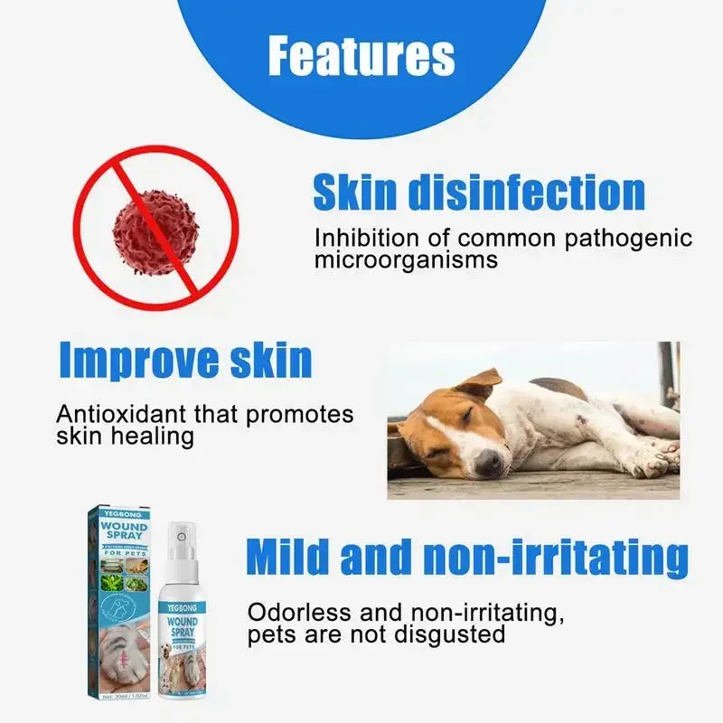 Anti-Itch Spray for Pets