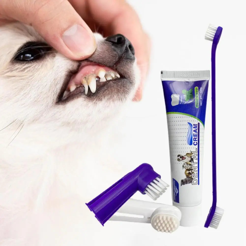 Pet Toothbrush & Toothpaste Kit