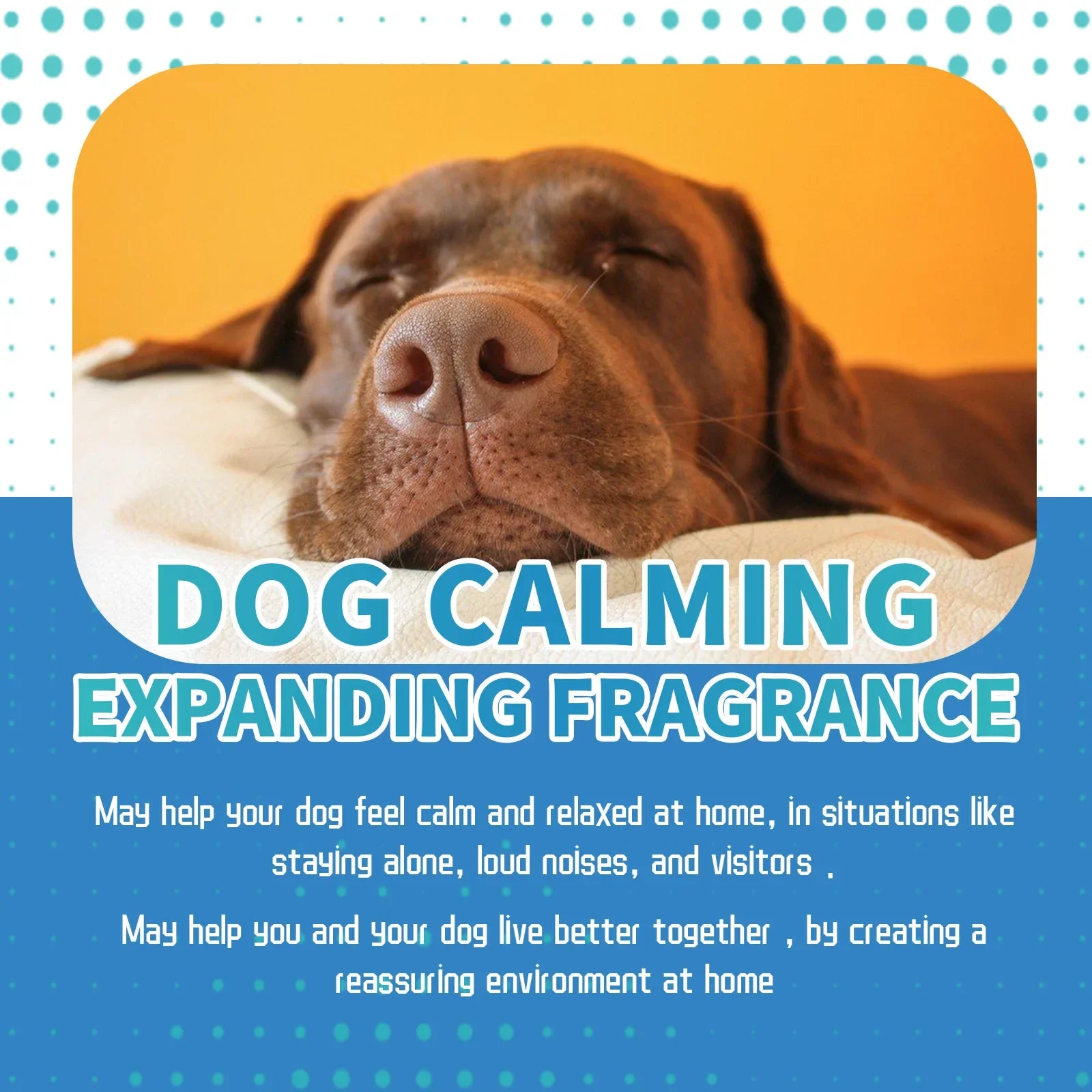 Pet Calming Liquid