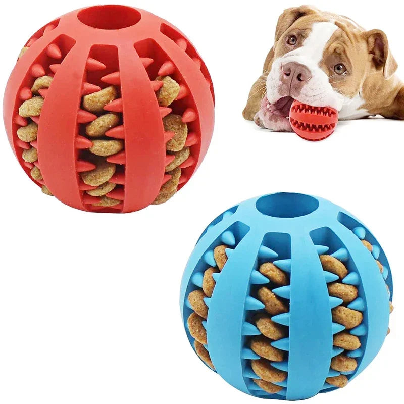 Dog Ball Chew Toy