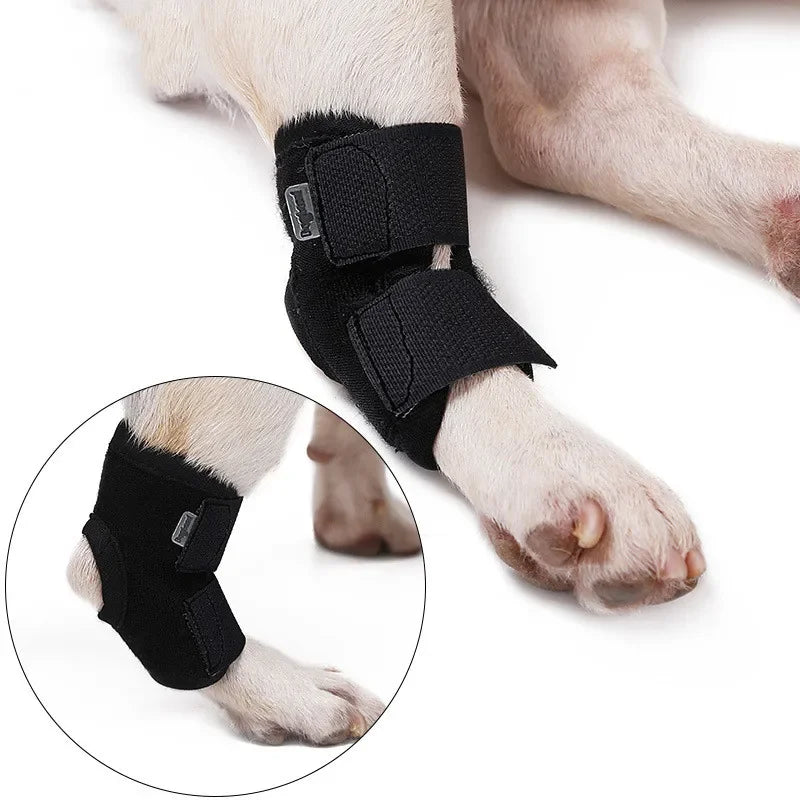 Dog Arthritis Bandage Support