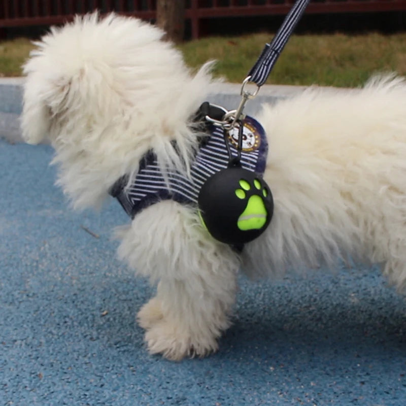 Hands-Free Tennis Ball Holder