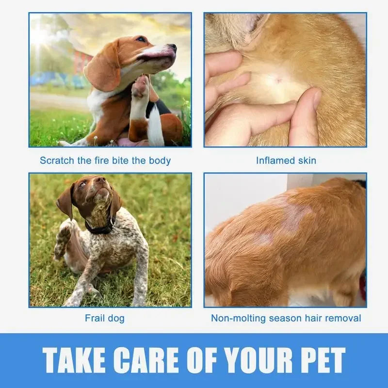 Anti-Itch Spray for Pets