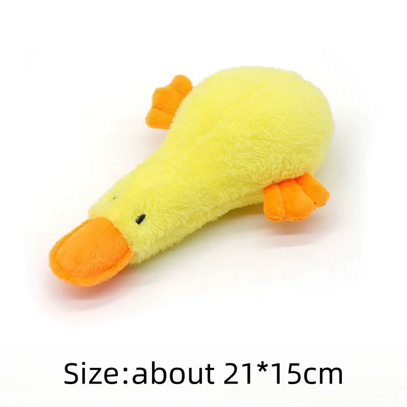 Duck Dog Toy