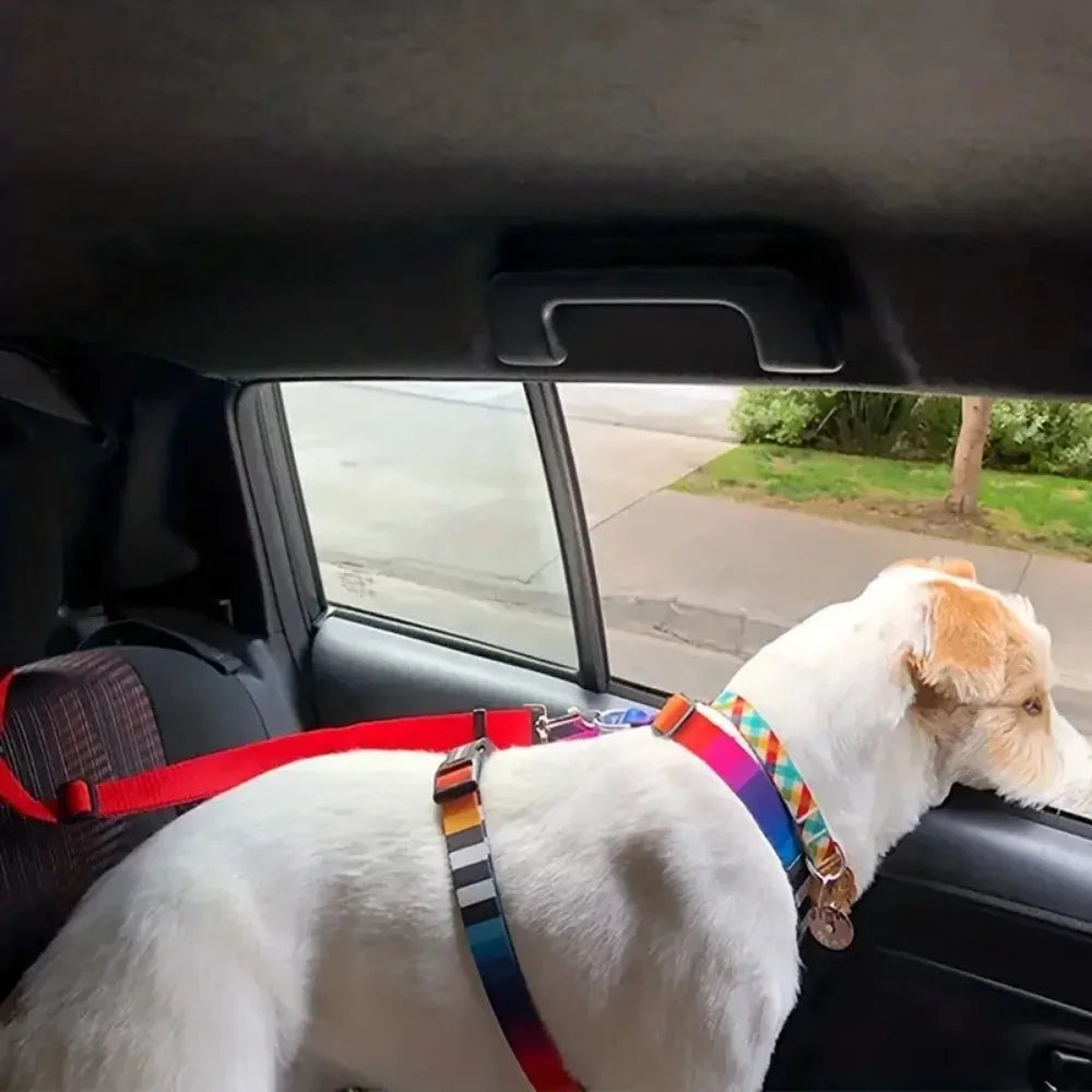 Adjustable Pet Seat Belt