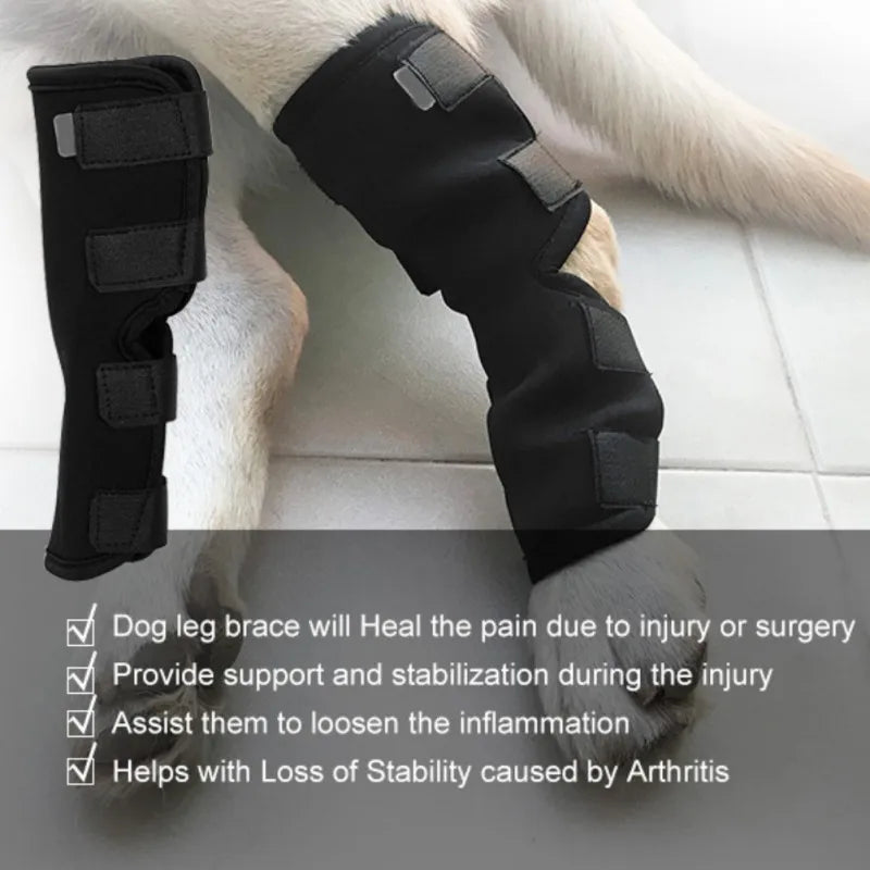 Dog Knee Brace Protector