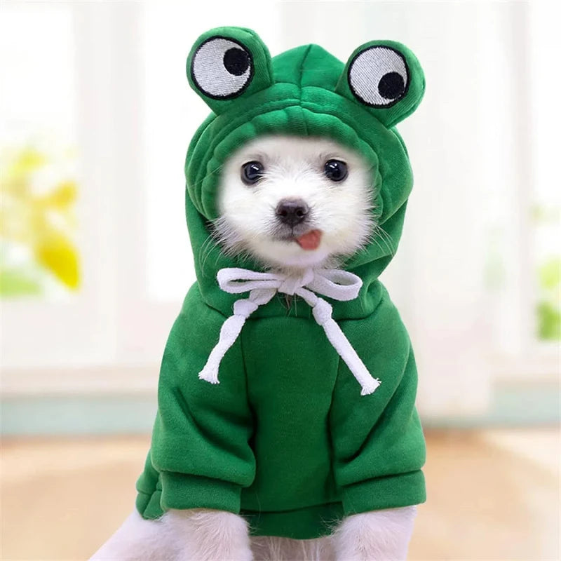 Winter Pet Hoodie for Small Dogs