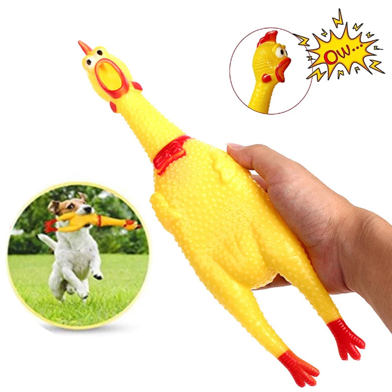 Screaming Chicken Dog Toy