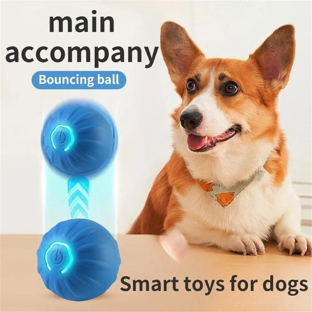 Interactive Pet  Toy .  Smarts Puppy Activity Ball