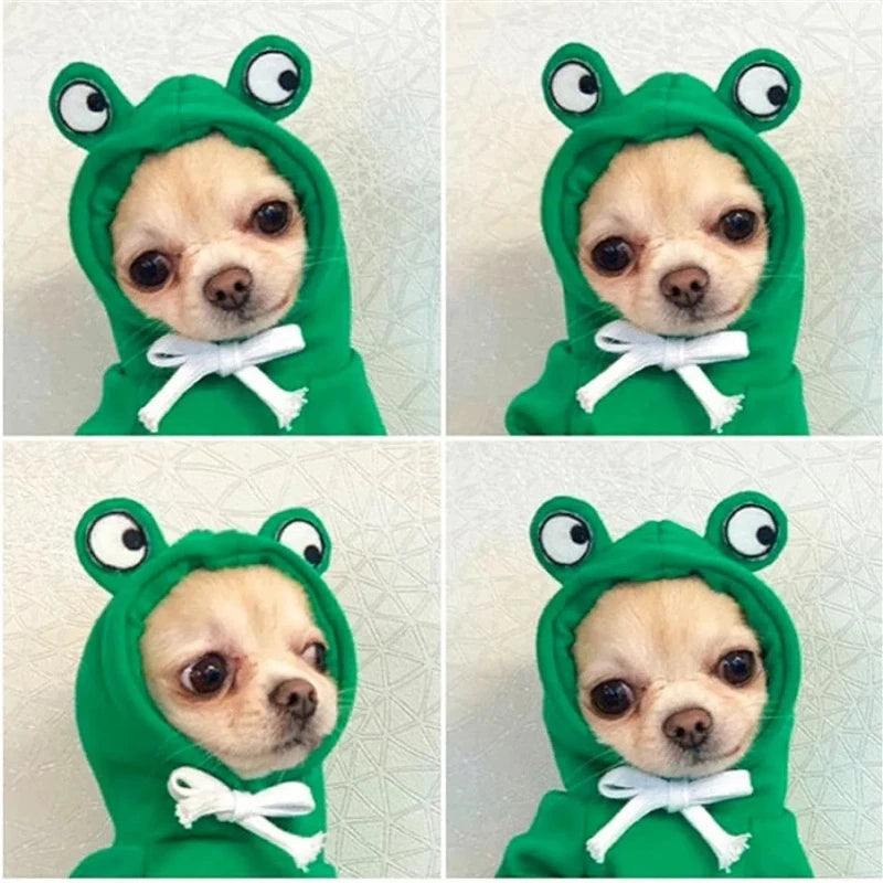 Winter Pet Hoodie for Small Dogs